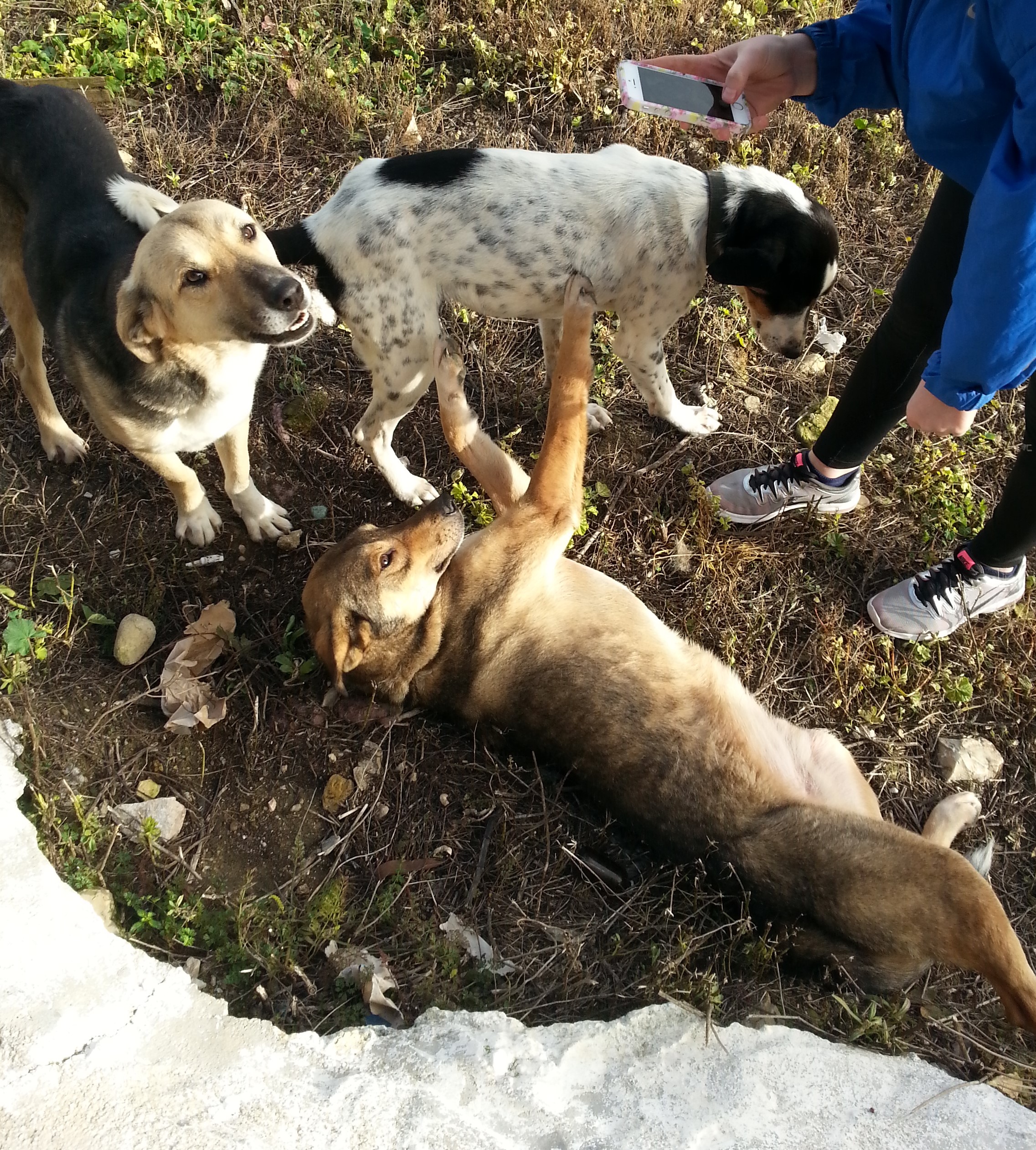 Ο Ριντ με τα αδέλφια του