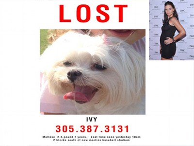 Συντετριμμένη η Adriana!