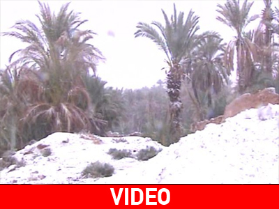 Είδαν άσπρη μέρα στην Αλγερία! Είδαν άσπρη μέρα στην Αλγερία!