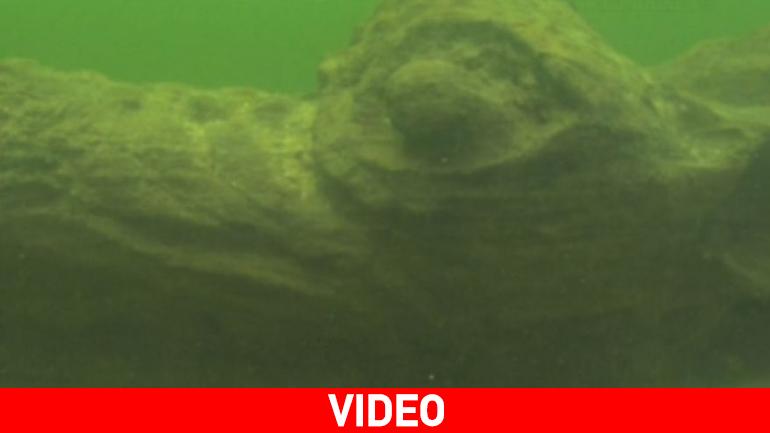 Στην επιφάνεια… θαλάσσιο τέρας του 15ου αι.