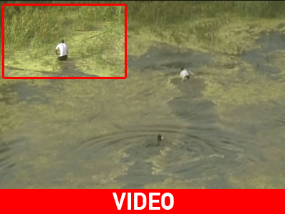 Κολυμπώντας προς τη σωτηρία!