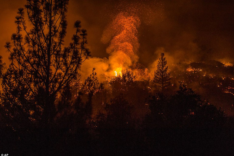 Sheep Ranch (Κομητεία Καλαβέρας)