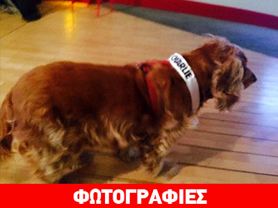 Αυτή είναι η μασκότ του «Charlie Hebdo»