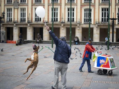 Κολομβία: Παραλίγο τραγωδία ανήμερα του «Halloween»