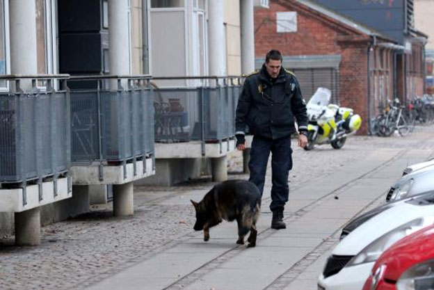 Εκπαιδευμένα σκυλιά της αστυνομίας συμμετέχουν στις περιπολίες