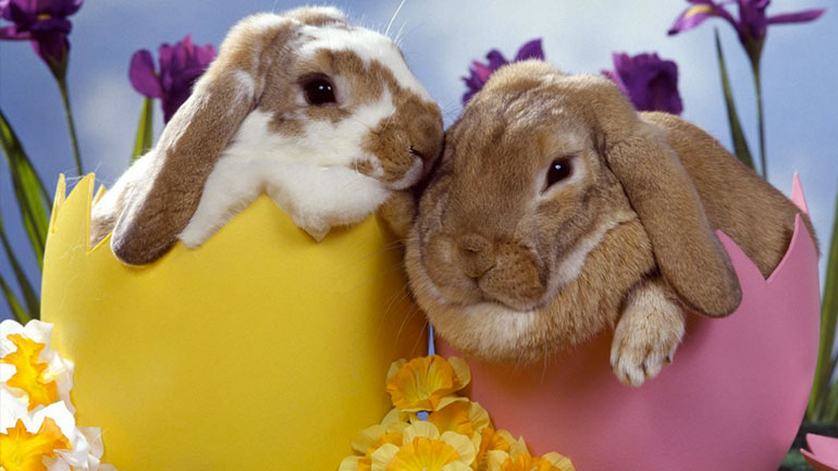 Σε ισχύ το εορταστικό ωράριο