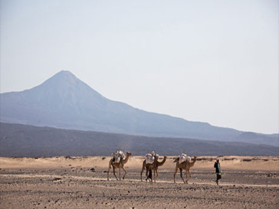 Ζωντανοί Γερμανοί όμηροι στην Αιθιοπία