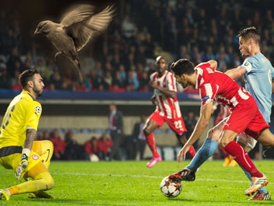 Στερνή μου… Μάλμε