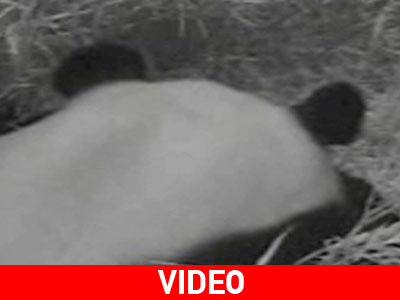 Γεννητούρια στην Ουάσινγκτον