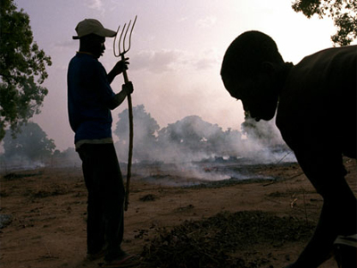 Μπουρκίνα Φάσο: Αίμα για τα βοσκοτόπια