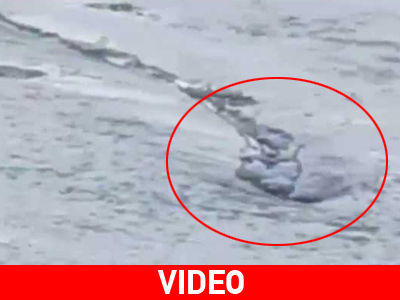 Το τέρας του Λοχ Νες… μετανάστευσε στην Ισλανδία!