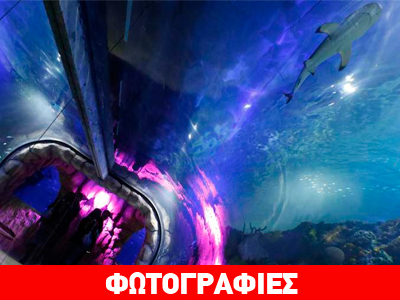 Μεξικό: «Πρεμιέρα» για το μεγαλύτερο θαλάσσιο ενυδρείο της Λατινικής Αμερικής