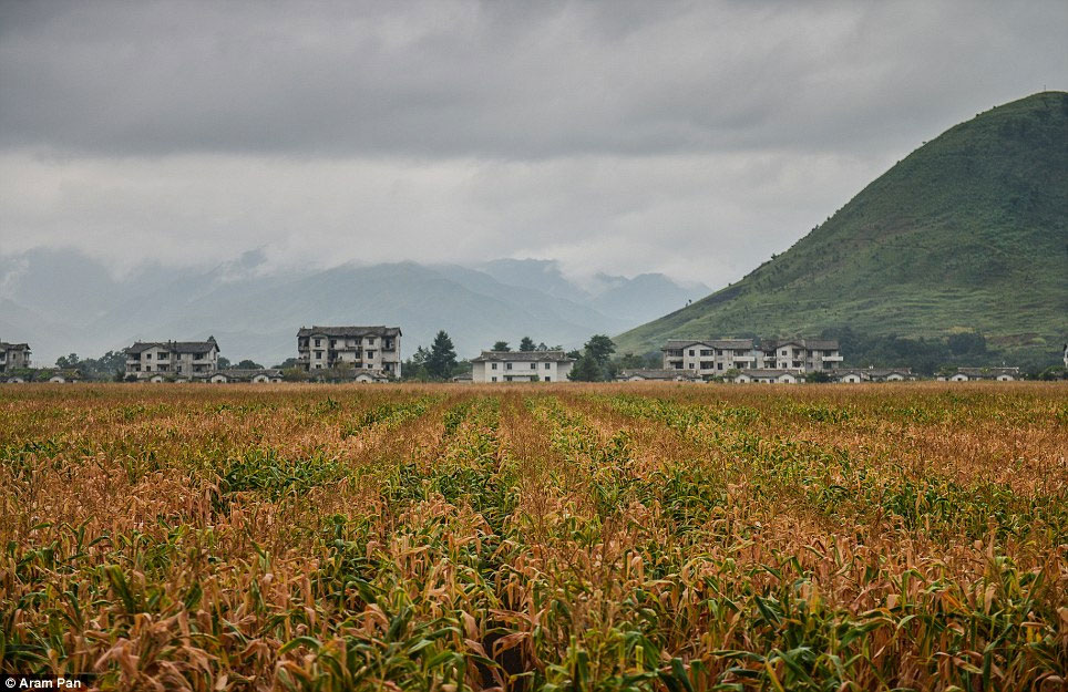 Απέραντες καλλιέργειες με καλαμπόκι