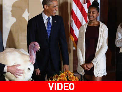 Ο Ομπάμα δίνει χάρη σε δύο γαλοπούλες