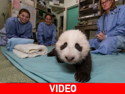 Στιγμές συγκίνησης σε Ζωολογικό Κήπο των Η.Π.Α.
