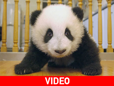 Όταν φτερνίζεται το πάντα! Όταν φτερνίζεται το πάντα!