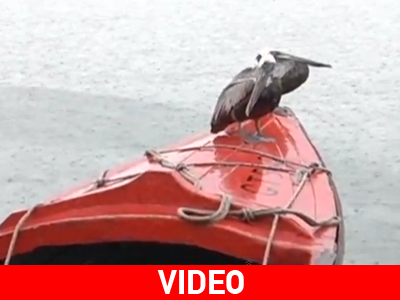 Τζαμάικα: Περιμένοντας τη… «Sandy» Τζαμάικα: Περιμένοντας τη… «Sandy»