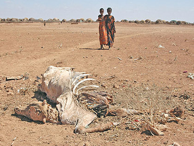 Εξαπλώθηκε ο λοιμός στη Σομαλία