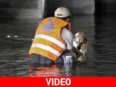 Μια διαφορετική επιχείρηση διάσωσης!
