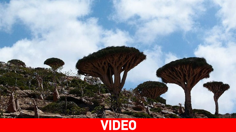 «Άγνωστη Γη»