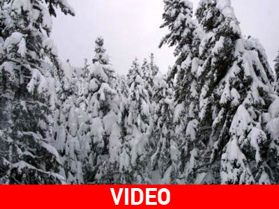 Στα λευκά η ορεινή Αχαΐα