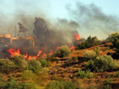Υπό έλεγχο πυρκαγιά στα Λαμπρέικα Αχαΐας