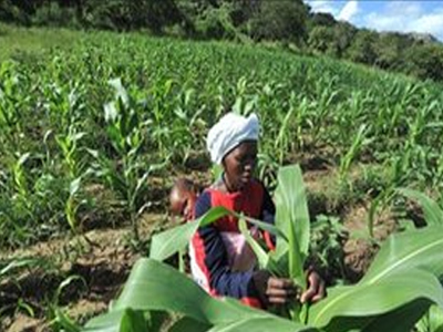 «Αρπάζουν» τη γη για να αυξήσουν τα κέρδη τους