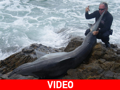 Ν. Αφρική: Σαφάρι λευκού καρχαρία για… αντίποινα