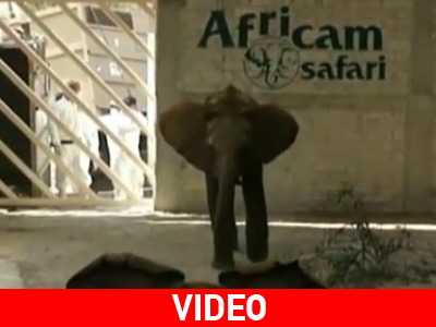 Νέες αφίξεις σε Ζωολογικό Πάρκο του Μεξικού