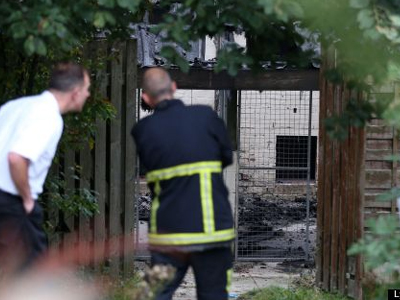 Αγγλία: Ακόμα 20 σκύλοι νεκροί από πυρκαγιά