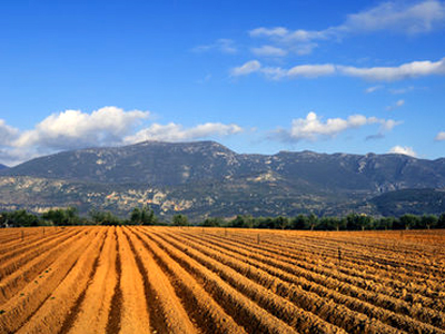 Χιλιάδες γεωργοί δεν πληρώνουν τα χρέη και εισπράττουν επιδοτήσεις