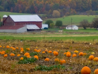 Κέρδισαν το Λόττο και έγιναν αγρότες