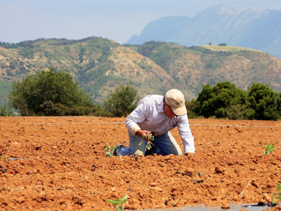ΟΓΑ: Συνταξιοδότηση στα 62 με 40 έτη ασφάλισης