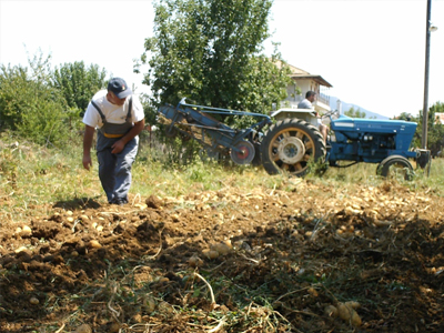 Έφαγαν… πόρτα 400 παραγωγοί της Ξάνθης για τις αποζημιώσεις