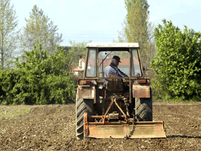 Αγρότης μόνος ψάχνει… Στουρνάρα