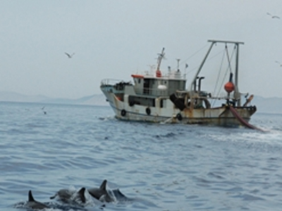 Έλλειψη ψαριών λόγω υπεραλίευσης στο Ιόνιο