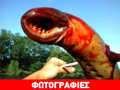 ΗΠΑ: Το γύρο του διαδικτύου κάνει το «εξωγήινο» ψάρι