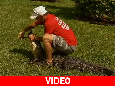 Φλόριντα: Ένας αλιγάτορας στην… πόρτα του!