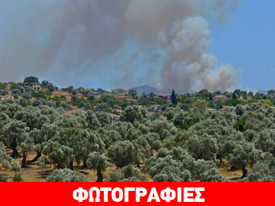 Πυρκαγιά στα Λέπουρα Αλιβερίου