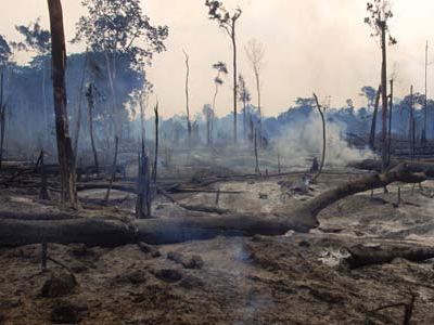 Απροστάτευτος ο Αμαζόνιος…έλεω Ολυμπιακών Αγώνων