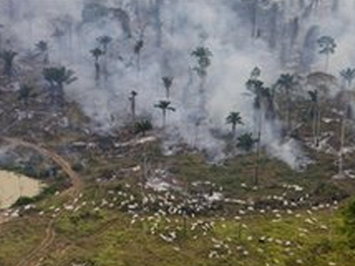 Δυσοίωνο το μέλλον του Αμαζονίου