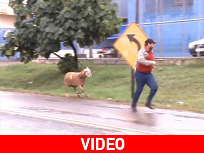 Τους πήρε στο κυνήγι!