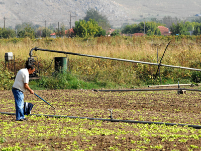Μέχρι τέλος Σεπτεμβρίου οι αιτήσεις για τις αποζημιώσεις του ΕΛΓΑ