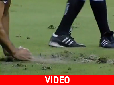 Χωράφι το… Αρένα Αμαζόνια!