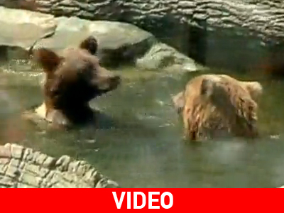 Ουκρανία: O καύσωνας τις οδήγησε στις πισίνες