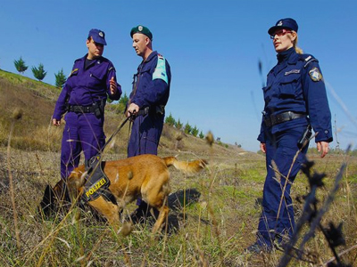 Δεν πρόλαβε να ολοκληρώσει το παράνομο έργο του