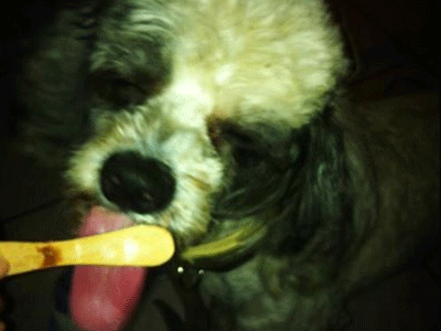 Βοηθήστε να βρεθεί ο Ασπρούλης