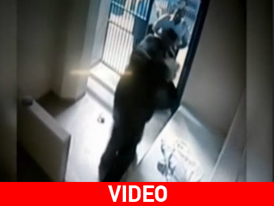 Αυστραλία: Σοκαριστικές εικόνες κακοποίησης φυλακισμένου