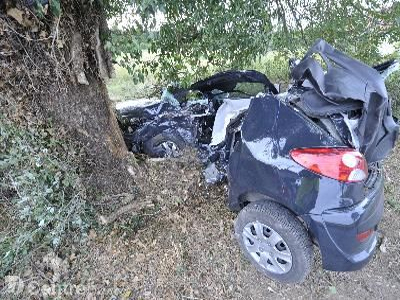 Έπεσε πάνω σε δέντρο και κατέληξε στην Εντατική