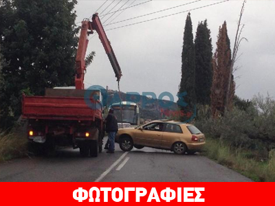 Το Ι.Χ. κατέληξε στις ελιές